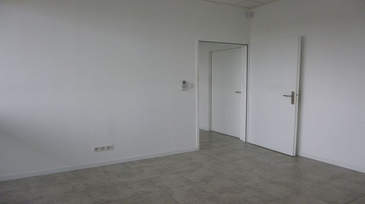 Ma-Cabane - Location Local commercial LA SALVETAT-SAINT-GILLES, 90 m²