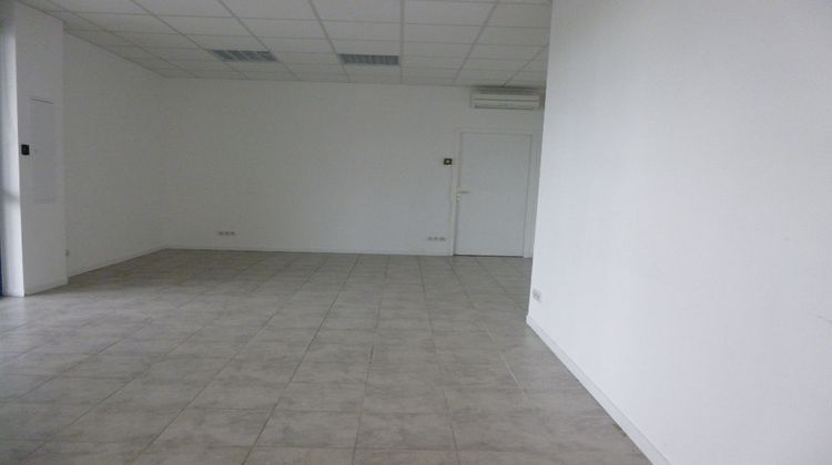 Ma-Cabane - Location Local commercial LA SALVETAT-SAINT-GILLES, 165 m²