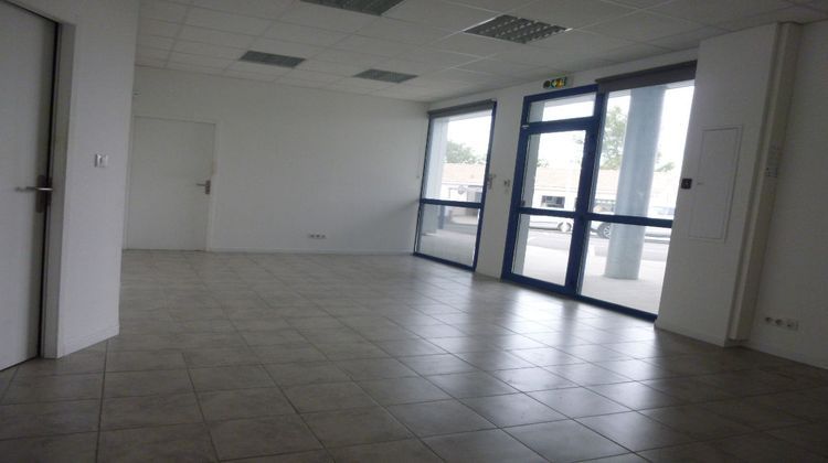 Ma-Cabane - Location Local commercial LA SALVETAT-SAINT-GILLES, 165 m²