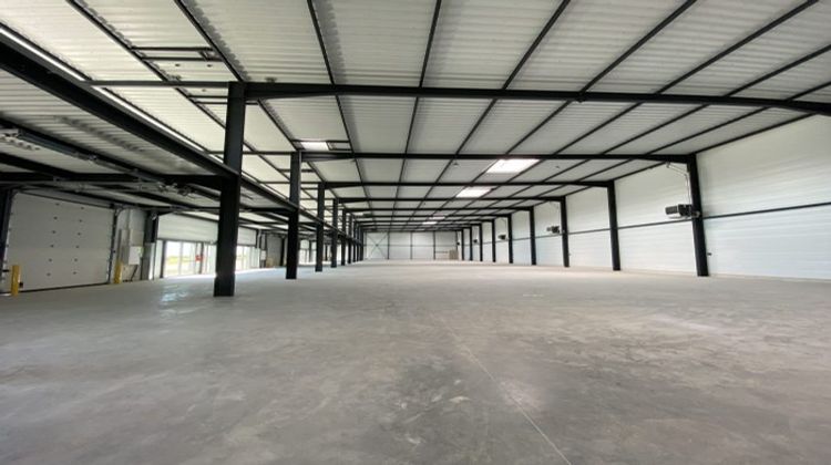 Ma-Cabane - Location Local commercial Le Thillay, 1110 m²