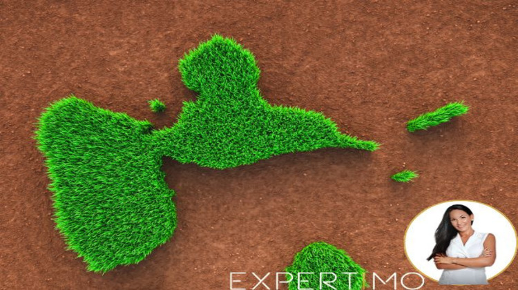 Ma-Cabane - Location Local commercial Les Abymes, 140 m²