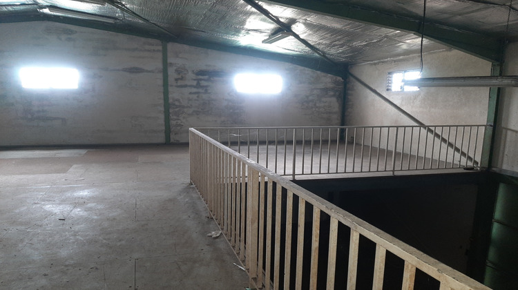Ma-Cabane - Location Local commercial Les Abymes, 273 m²