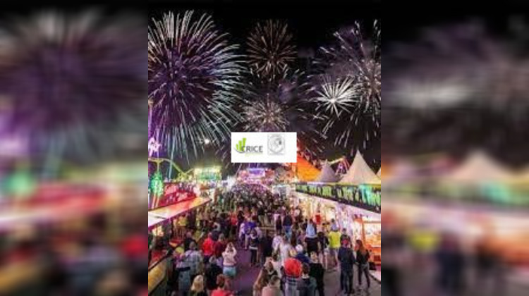 Ma-Cabane - Location Local commercial Les Mathes, 47 m²