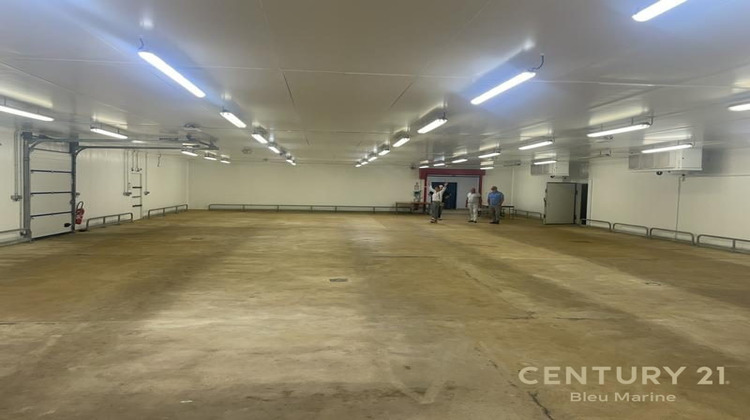 Ma-Cabane - Location Local commercial Les Sables-d'Olonne, 730 m²