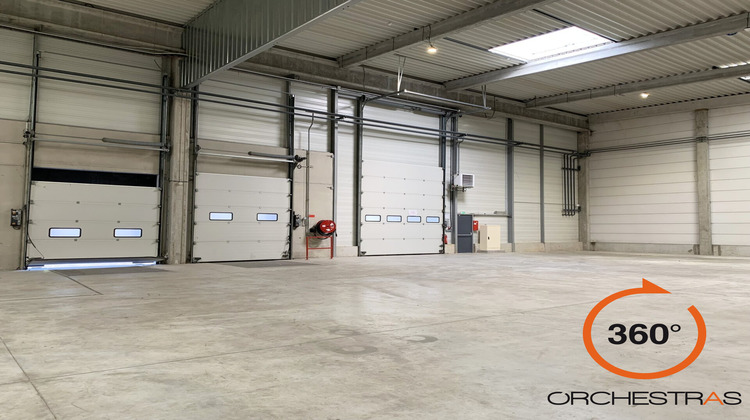 Ma-Cabane - Location Local commercial Lieusaint, 3290 m²