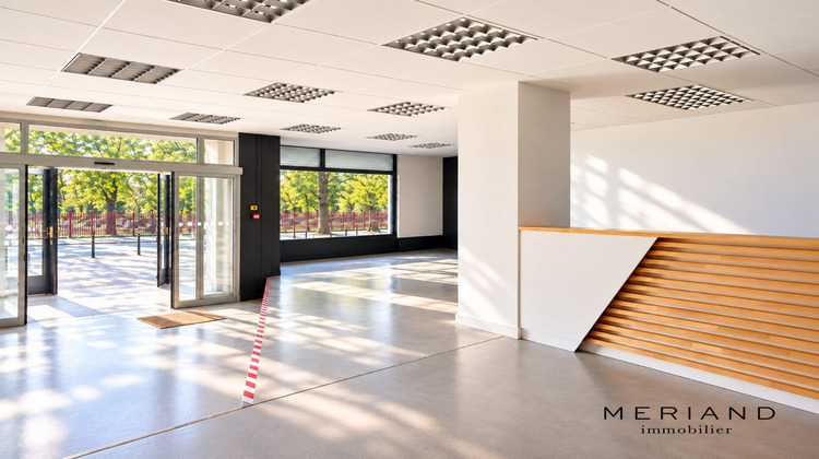 Ma-Cabane - Location Local commercial Lille, 330 m²