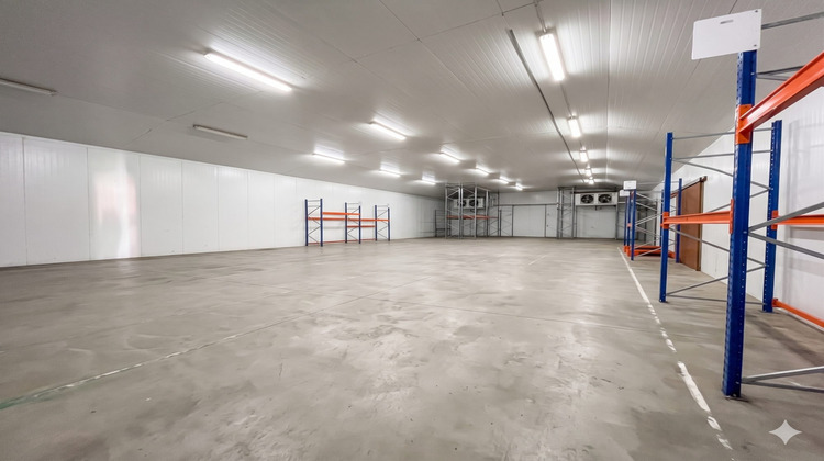 Ma-Cabane - Location Local commercial Lons, 1368 m²
