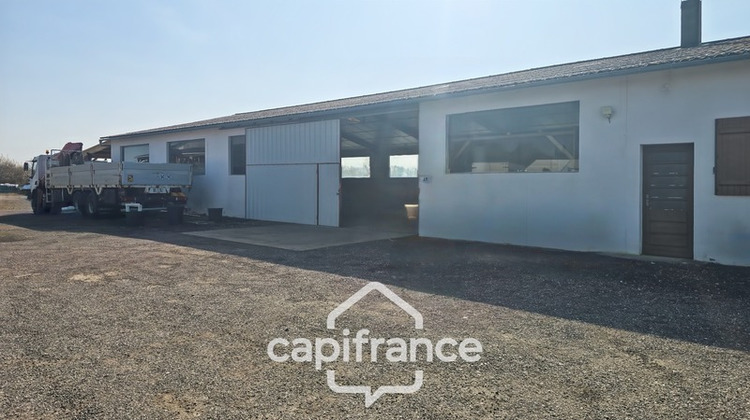 Ma-Cabane - Location Local commercial LOUHANS, 407 m²