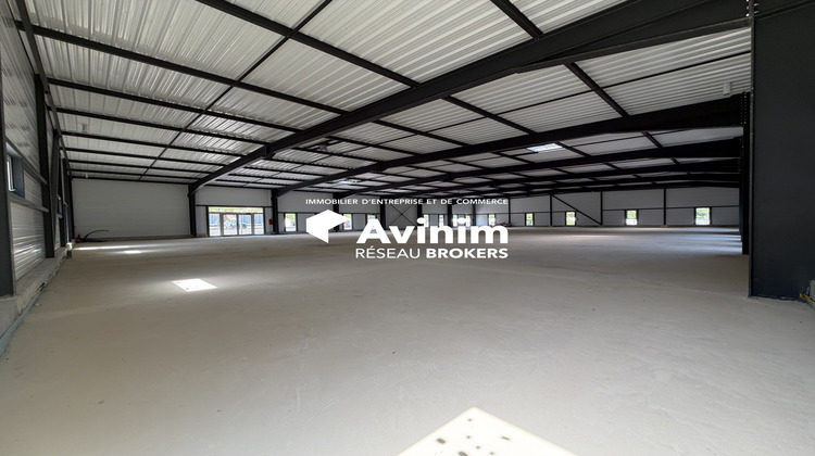 Ma-Cabane - Location Local commercial Migné-Auxances, 956 m²