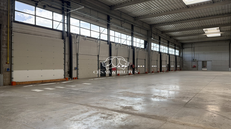 Ma-Cabane - Location Local commercial Miribel, 9623 m²