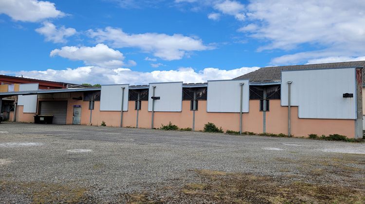 Ma-Cabane - Location Local commercial MONTAUBAN, 540 m²