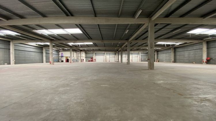 Ma-Cabane - Location Local commercial Montreuil, 5448 m²