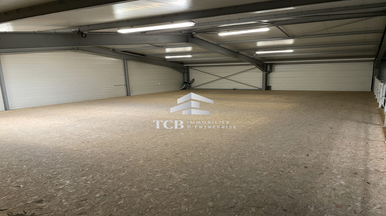 Ma-Cabane - Location Local commercial Mozé-sur-Louet, 688 m²