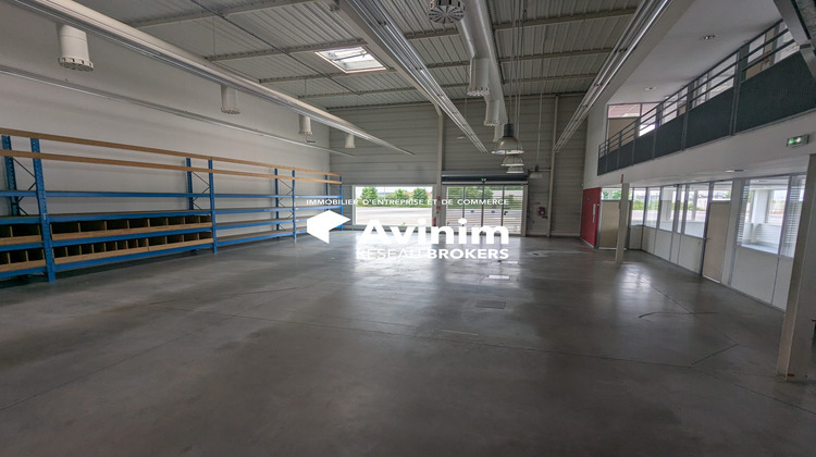 Ma-Cabane - Location Local commercial Mulhouse, 1215 m²