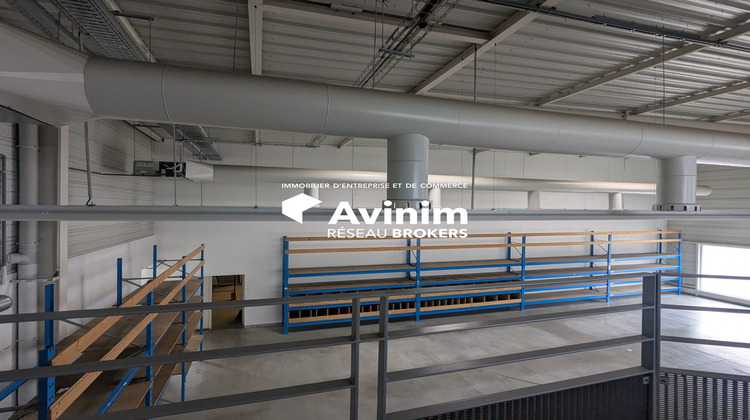 Ma-Cabane - Location Local commercial Mulhouse, 1215 m²