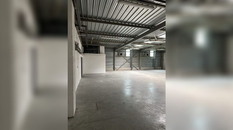 Ma-Cabane - Location Local commercial Mulhouse, 354 m²