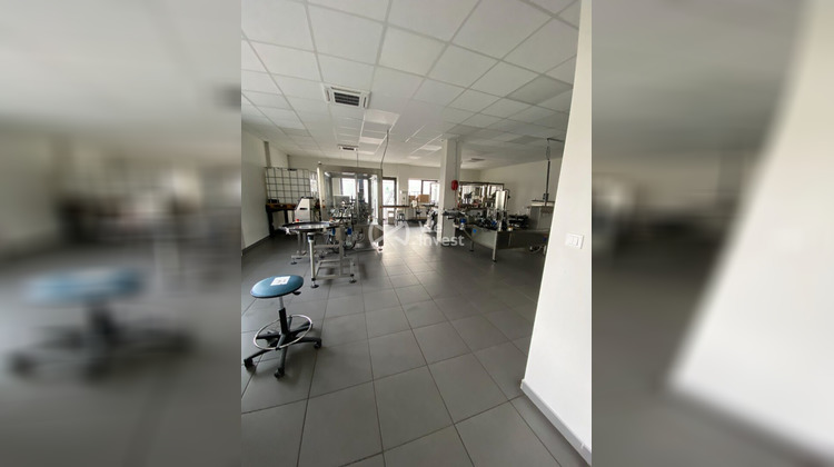 Ma-Cabane - Location Local commercial Pau, 370 m²