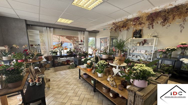 Ma-Cabane - Location Local commercial Phalsbourg, 30 m²