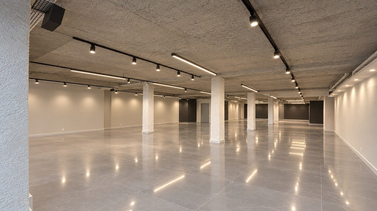 Ma-Cabane - Location Local commercial Pierrelaye, 938 m²