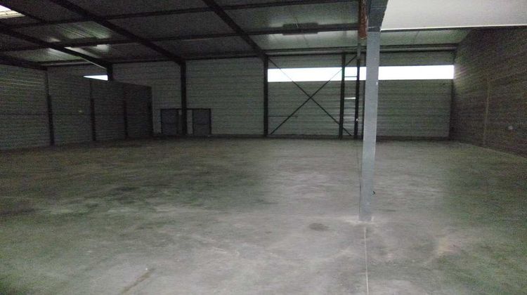 Ma-Cabane - Location Local commercial PINSAGUEL, 405 m²