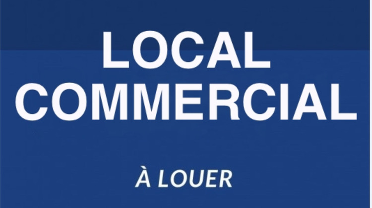 Ma-Cabane - Location Local commercial PLEYBEN, 490 m²