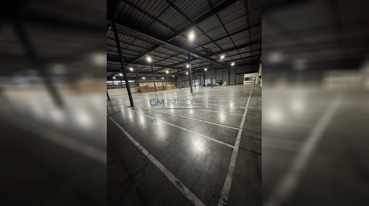 Ma-Cabane - Location Local commercial Pontonx-sur-l'Adour, 2000 m²
