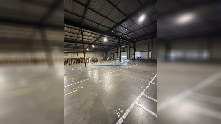 Ma-Cabane - Location Local commercial Pontonx-sur-l'Adour, 2000 m²