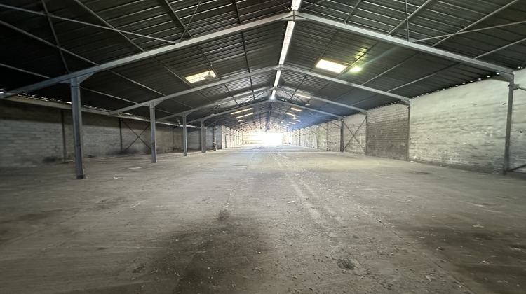 Ma-Cabane - Location Local commercial Puget-sur-Argens, 1200 m²