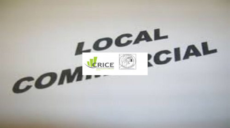 Ma-Cabane - Location Local commercial Royan, 230 m²