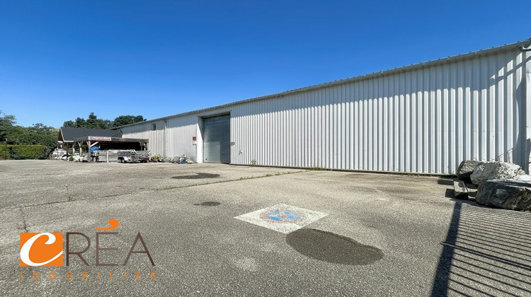 Ma-Cabane - Location Local commercial Ruelisheim, 150 m²