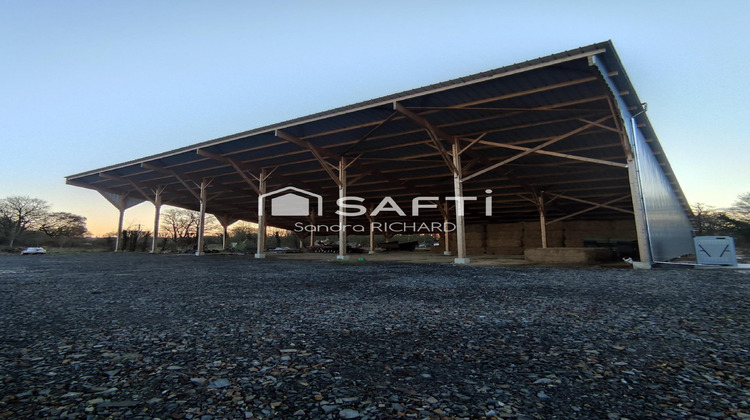 Ma-Cabane - Location Local commercial Ruffigne, 1000 m²
