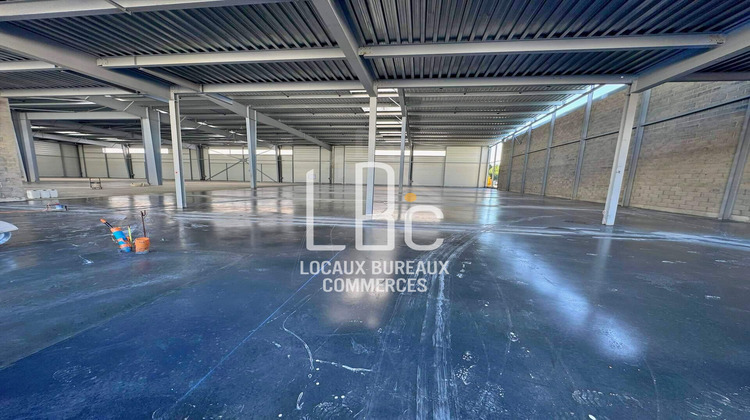 Ma-Cabane - Location Local commercial Saint-Aignan-Grandlieu, 3565 m²