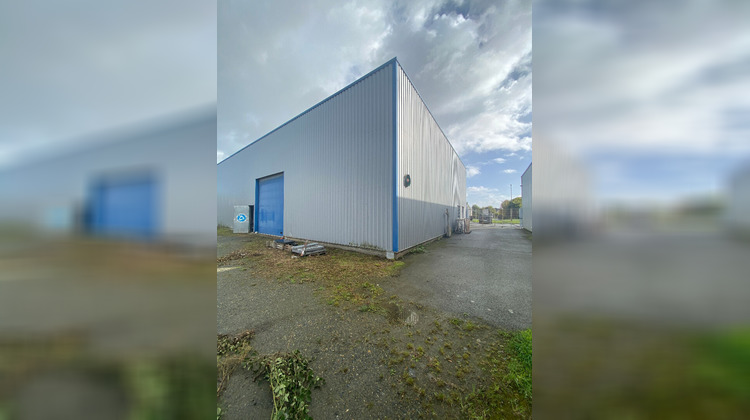 Ma-Cabane - Location Local commercial SAINT-ALBAN, 170 m²