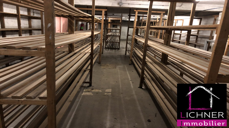 Ma-Cabane - Location Local commercial Saint-Avold, 428 m²
