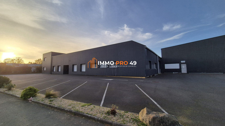 Ma-Cabane - Location Local commercial Saint-Christophe-du-Bois, 3340 m²