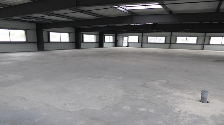 Ma-Cabane - Location Local commercial SAINT-ETIENNE, 553 m²