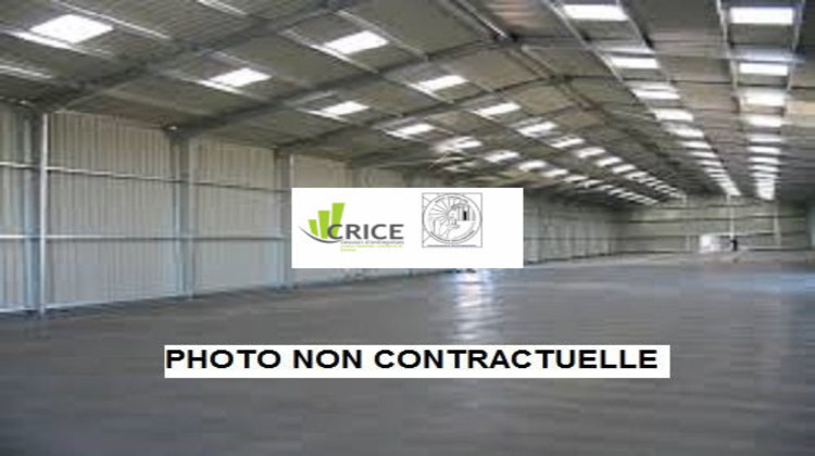 Ma-Cabane - Location Local commercial Saint-Georges-de-Didonne, 100 m²