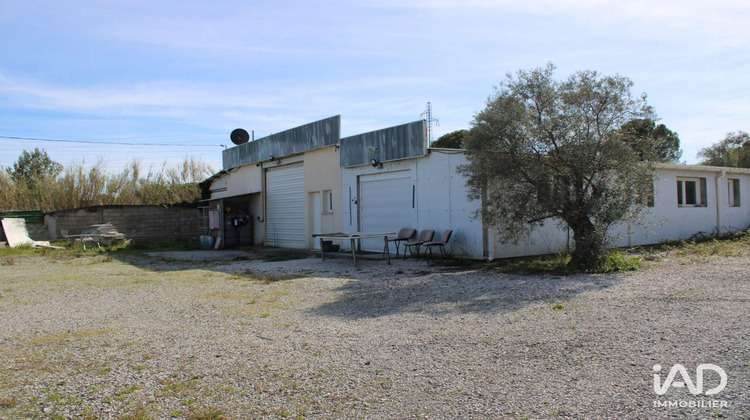 Ma-Cabane - Location Local commercial Saint-Jean-de-Védas, 246 m²