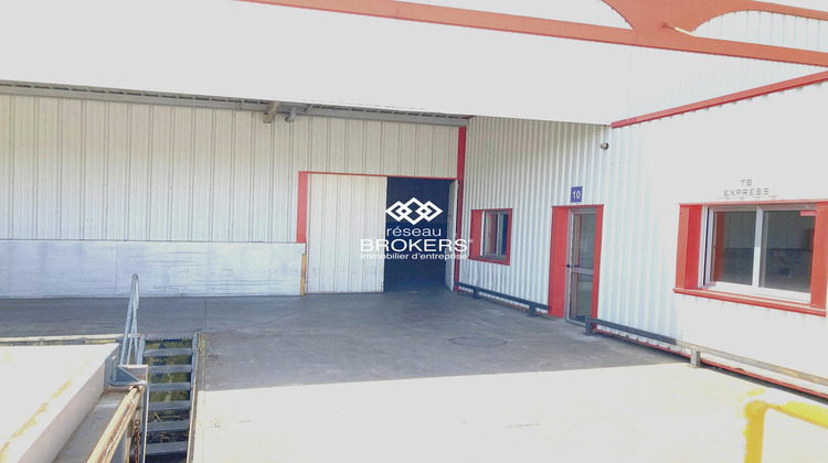 Ma-Cabane - Location Local commercial Saint-Jean-le-Blanc, 430 m²