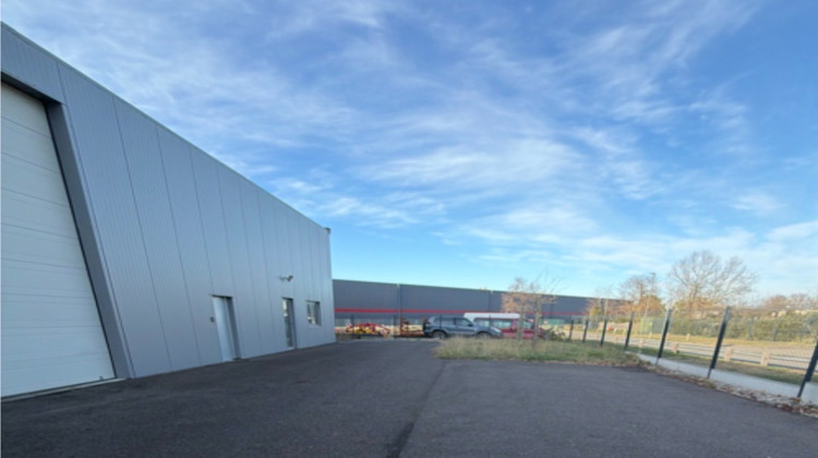 Ma-Cabane - Location Local commercial SAINT-LAURENT-MEDOC, 400 m²