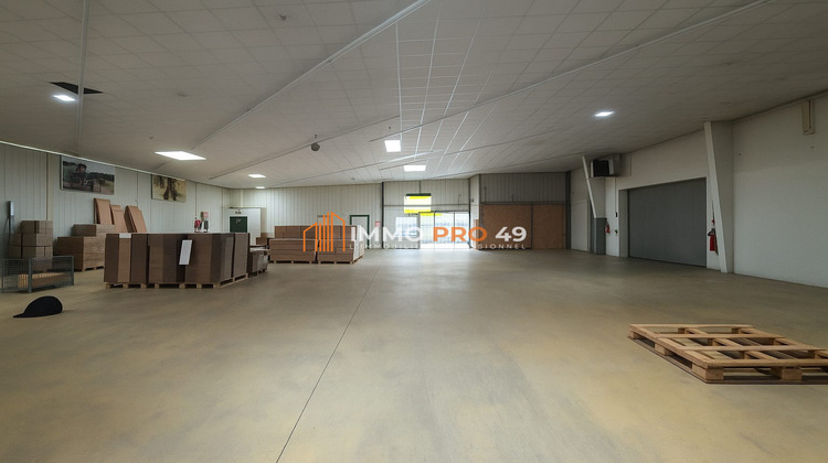 Ma-Cabane - Location Local commercial Saint-Léger-sous-Cholet, 1179 m²