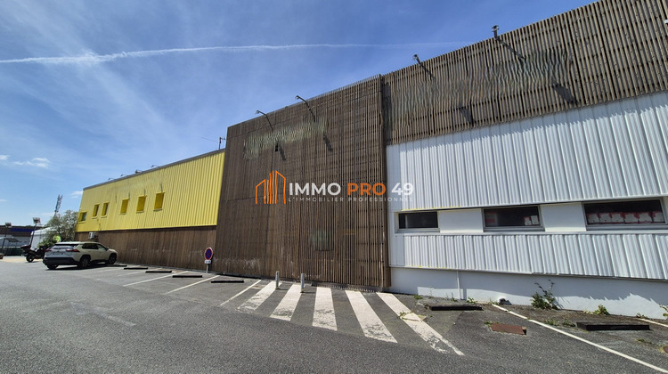Ma-Cabane - Location Local commercial Saint-Léger-sous-Cholet, 1179 m²