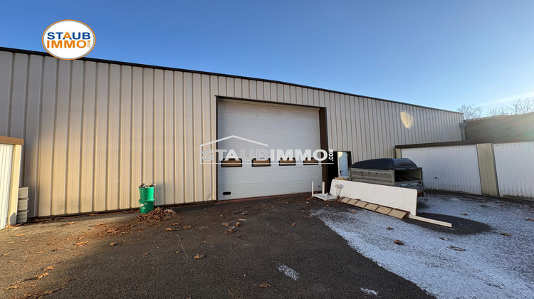 Ma-Cabane - Location Local commercial Saint-Louis, 308 m²