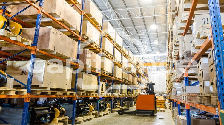 Ma-Cabane - Location Local commercial SAINT MAURICE DE BEYNOST, 3000 m²