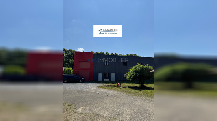 Ma-Cabane - Location Local commercial Saint-Paul-lès-Dax, 828 m²