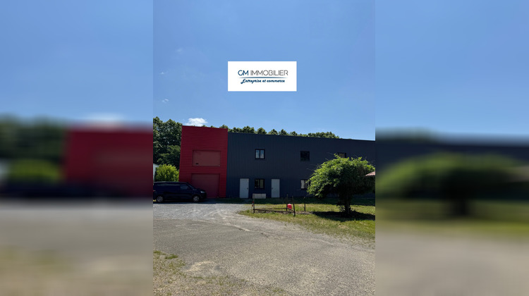 Ma-Cabane - Location Local commercial Saint-Paul-lès-Dax, 828 m²