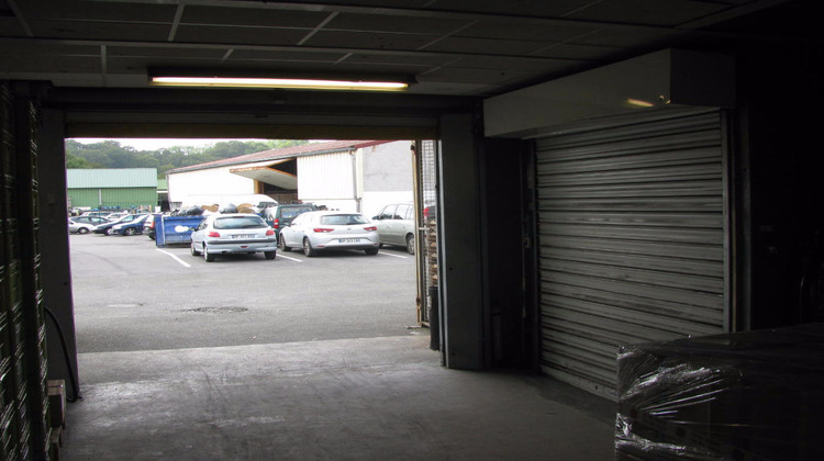 Ma-Cabane - Location Local commercial SAINT-PIERRE-D'IRUBE, 2050 m²