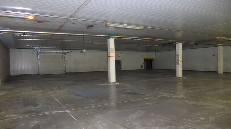 Ma-Cabane - Location Local commercial SAINT-PRIEST-EN-JAREZ, 540 m²