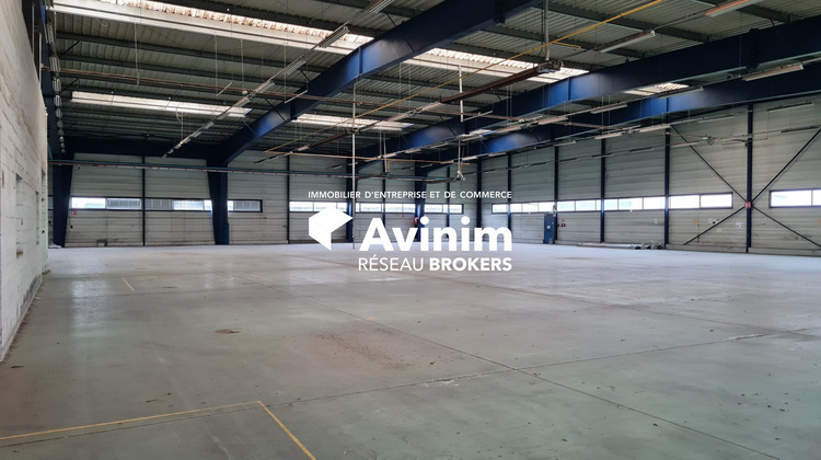 Ma-Cabane - Location Local commercial Sandouville, 2900 m²