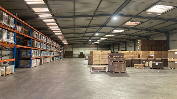 Ma-Cabane - Location Local commercial SARREGUEMINES, 1210 m²